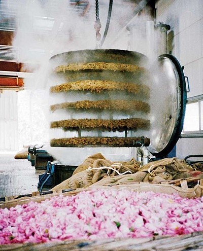 Al-Farabi University  Arabic perfumery university  Perfume school  Fragrance education  Perfume courses  Arabic perfume tradition  Oud perfume  Essential oil education  Perfumery research  Perfume innovation  Perfumery programs